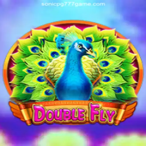 Exploring DoubleFly: The Sky's the Limit